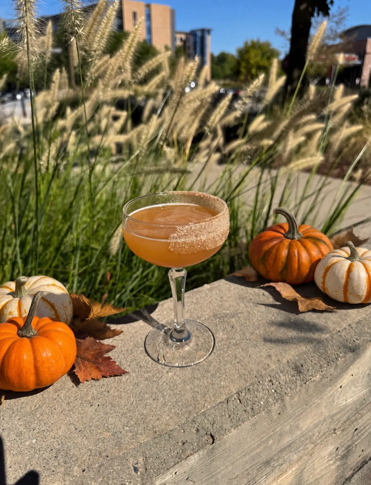 Fall Cocktails